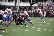 Enlarge photo 146
