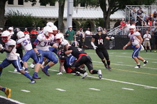 Enlarge photo 147