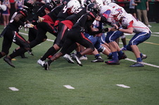 Enlarge photo 183
