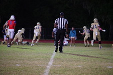 Enlarge photo 32