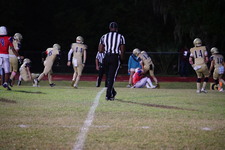 Enlarge photo 34
