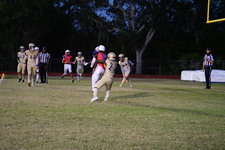 Enlarge photo 43