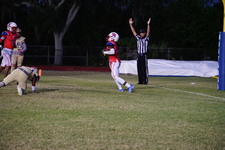 Enlarge photo 46
