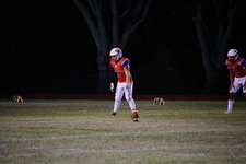 Enlarge photo 51