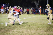 Enlarge photo 118