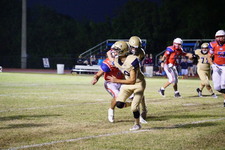 Enlarge photo 126