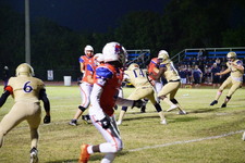 Enlarge photo 127