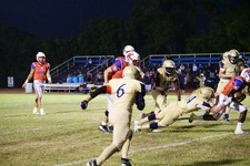 Enlarge photo 132