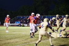 Enlarge photo 133