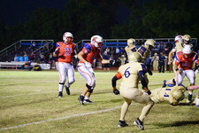 Enlarge photo 134