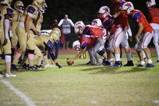 Enlarge photo 243