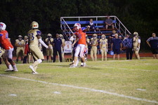 Enlarge photo 249