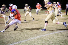 Enlarge photo 382