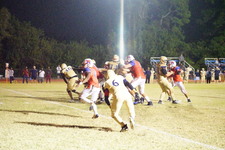 Enlarge photo 408
