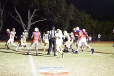 Enlarge photo 413