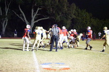Enlarge photo 417