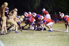 Enlarge photo 446