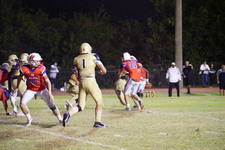 Enlarge photo 455