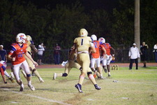 Enlarge photo 456
