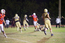 Enlarge photo 458