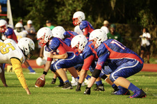 Enlarge photo 62