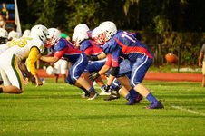 Enlarge photo 67