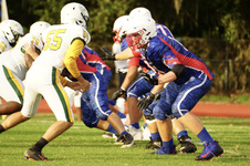 Enlarge photo 65