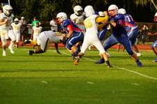 Enlarge photo 70