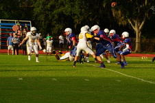 Enlarge photo 72