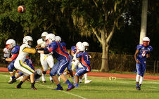 Enlarge photo 71