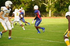 Enlarge photo 79