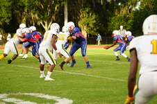 Enlarge photo 84