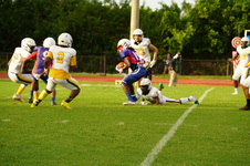 Enlarge photo 87