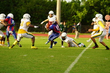Enlarge photo 88