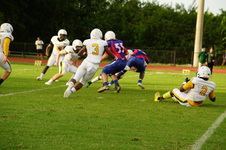 Enlarge photo 91