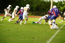 Enlarge photo 93