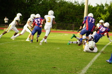 Enlarge photo 95