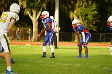 Enlarge photo 99
