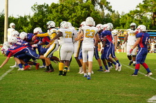 Enlarge photo 127