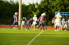 Enlarge photo 128