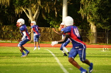 Enlarge photo 136