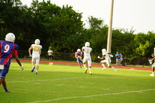 Enlarge photo 151