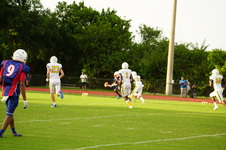 Enlarge photo 152