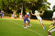 Enlarge photo 171