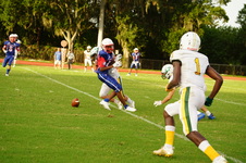 Enlarge photo 172