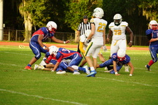 Enlarge photo 181