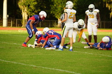 Enlarge photo 183
