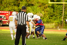Enlarge photo 202