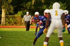 Enlarge photo 205