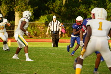 Enlarge photo 204